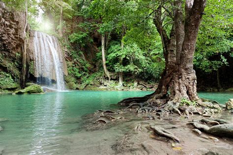 Waterfall In Tropical Rainforest Photograph By Pidjoe Pixels