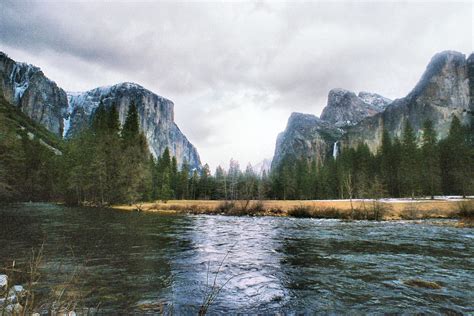 Yosemite Traveling Morgans