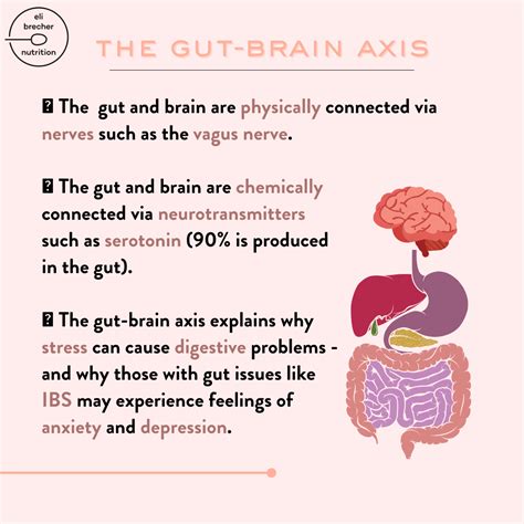What Is The Gut Brain Axis Eli Brecher Nutrition