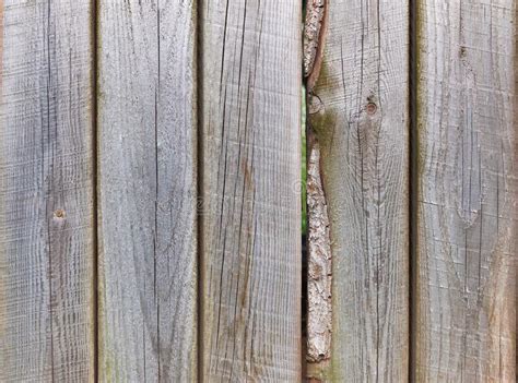 Background Of The Wooden Texture Picture Of The Old Wooden Fence Closeup Stock Photo Image Of