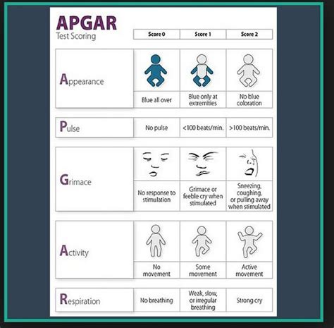 Cecilejanssens This Is The Apgar Score Published In 1953 By