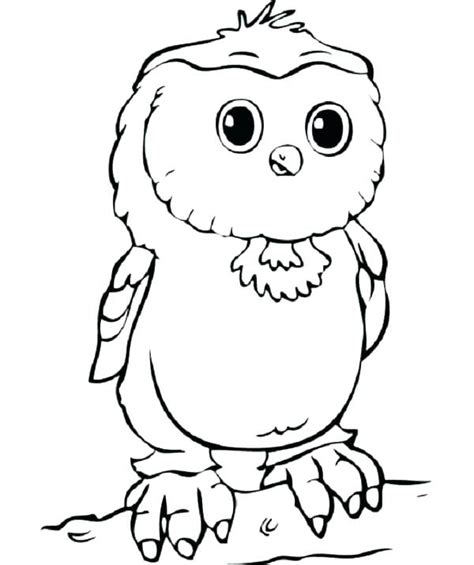 snowy owl coloring page  getcoloringscom  printable colorings pages  print  color