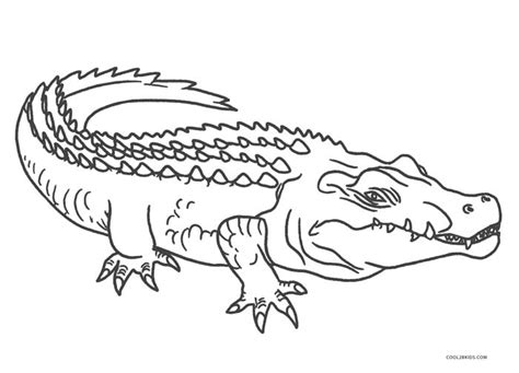 American Alligator Coloring Page