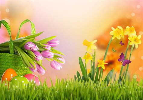 1920x1080px 1080p Free Download Happy Easter Colorful Grass