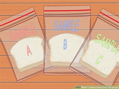 Will drywall grow mold if it gets wet? How to Make Mold Grow on Bread: 10 Steps (with Pictures ...