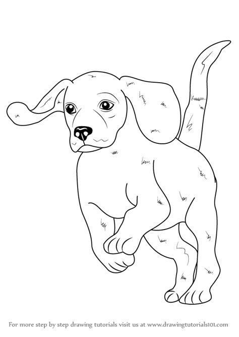 Draw a dog in 7 steps. Learn How to Draw a Beagle (Farm Animals) Step by Step ...