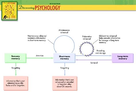 Chapter 6 Memory Stage Model Of Memory