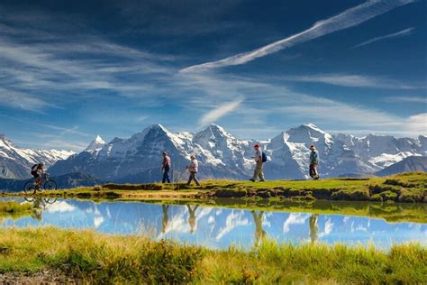 7 Reasons Why You Should Go To The Swiss Alps This Summer Swiss Alps