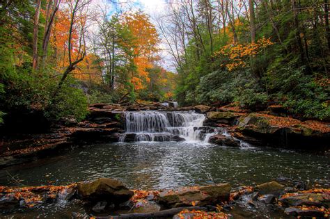 Waterfall In The Fall Small Stream In The Woods Photograph By Dan