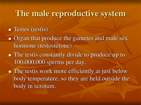 Ppt Sexual Reproduction In Human Beings Powerpoint Presentation Id