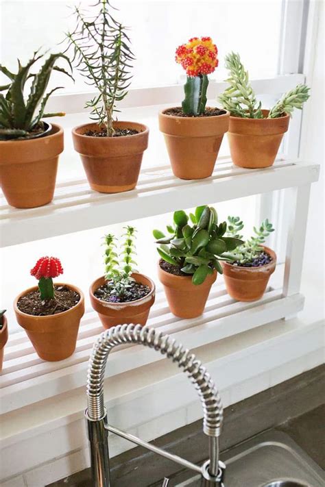 Today, kitchen garden windows are grown for that very same reason: DIY 20 Ideas of Window Herb Garden for Your Kitchen