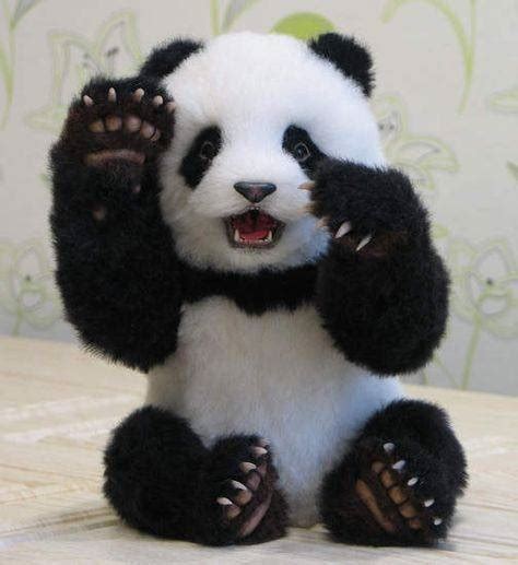 Why Do People Love Panda Bears So Much What Is The Big