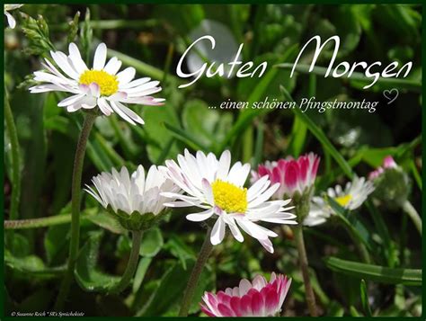 Hier finden sie termin, datum und pfingstsonntag und pfingstmontag sind in deutschland gesetzliche feiertage und viele deutsche freuen sich über das. ᐅ Pfingstmontag Bilder - Pfingstmontag GB Pics - GBPicsOnline