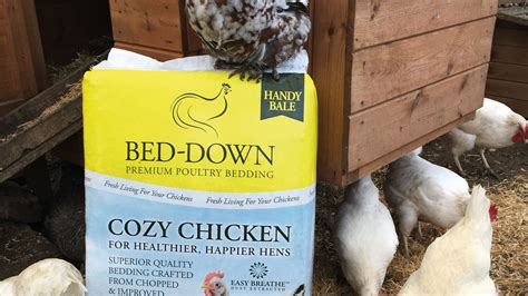 Cozy Chicken Horse Bedding Bed Down Equine Bedding