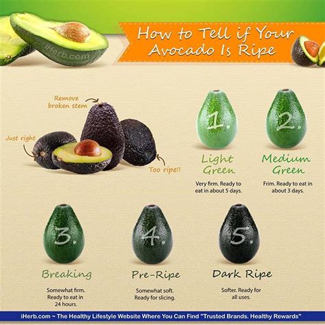 Want To Know When Your Avocado Is Ripe And Ready To Enjoy Iherb Infographic Iherb Scoopnest