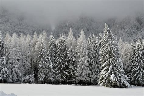 Free Photo Winter Scene Mountain Wonderland Free Image On Pixabay