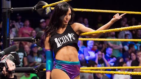 Dave Meltzer Apologizes For Comments About WWE Superstar Peyton Royce