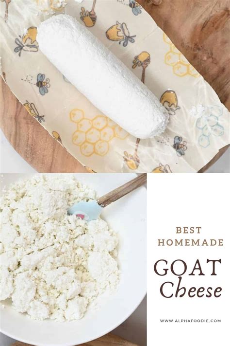 How To Make Goat Cheese Plus Faqs And Tips Alphafoodie