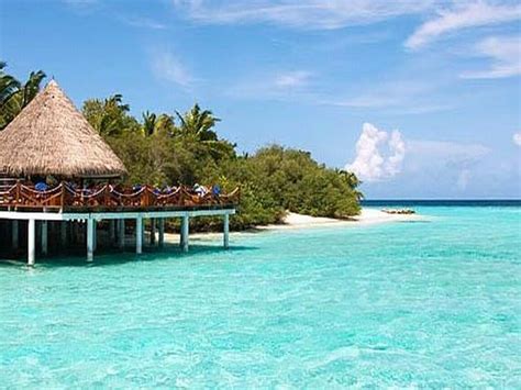 Opinie Turystów Traveliadapl O Hotelu Eriyadu Island Resort Malediwy
