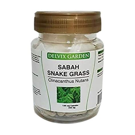 There have been news circulating in various news outlets in asia, may they be printed or digital, that disseminate the reported benefits of this herb. Sabah Snake Grass Capsules Clinacanthus Nutans for Healthy ...