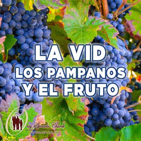 Stream La Vid Los Pámpanos Y El Fruto By Otay Apostolic Church