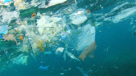 Will Banning Plastic Bags Actually Save The Planet Displayr