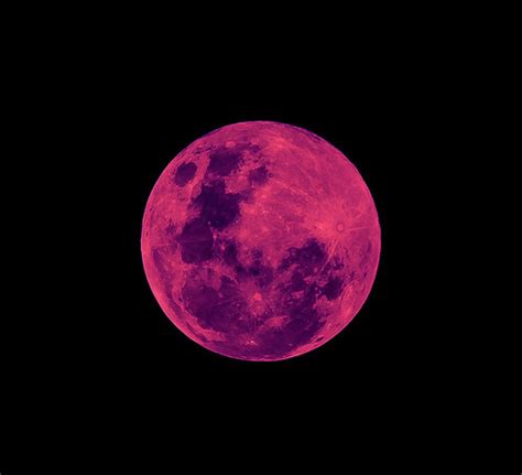 Pink moon differs from drake's previous albums in that it was recorded without a backing band, featuring just drake on vocals, acoustic guitar and a brief piano riff overdubbed onto the title track. Pink Moon | WeNeedFun
