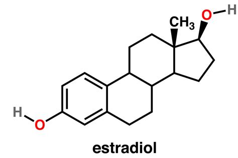 Estradiol Function Normal Estradiol Levels Uses Test Dosage And Side