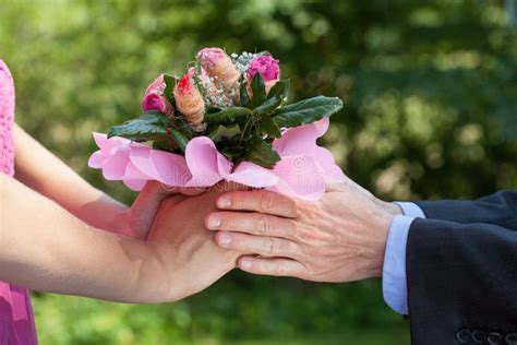 Man Giving A Flowers Stock Photo Image Of Fiancee Lady 33702882