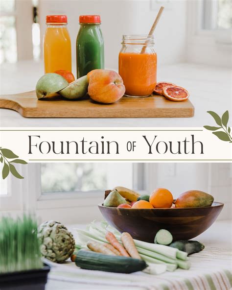 The Fountain of Youth | Steph's Fit Culture