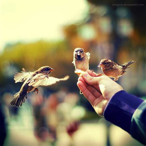 30 Examples Of Cute Photography Pictures Nenuno Creative