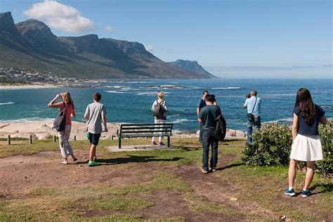 Best Things To Do In Cape Town Mylittleadventure