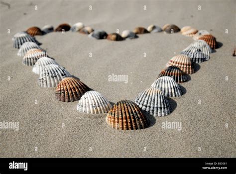 Heart Made Of Shells In The Sand Stock Photo Alamy