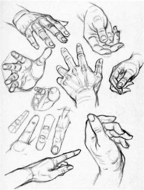 Hand Reference Drawing