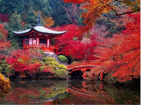 The Beauty Of Momiji Season In Japan Jce