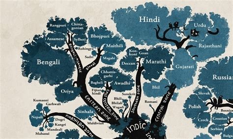This Beautiful Language Tree Shows How India Is As Linguistically