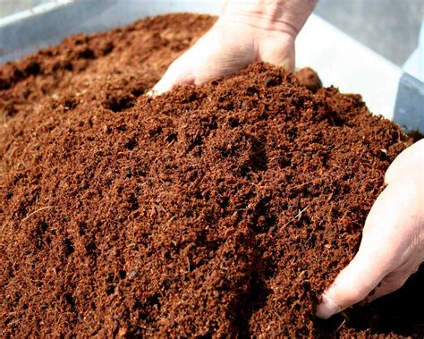 How To Add Organic Compost To Plants Compost For Plants Bury Hill