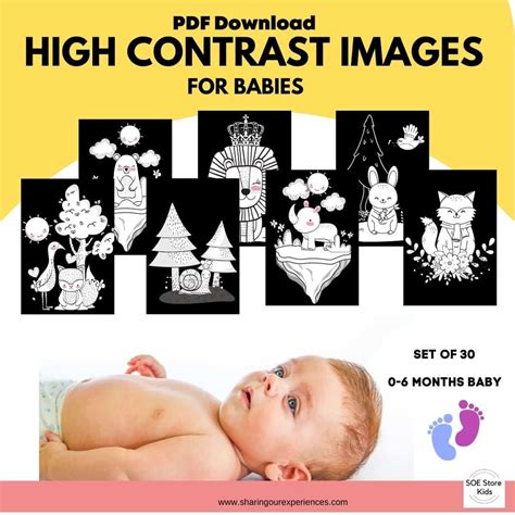 How To Use Black And White High Contrast Cards For Babies 0 6 Months Old