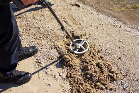 Treasure Hunting With A Metal Detector Stock Photo Image Of Action