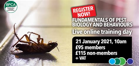Pest solution offers a wide range of pest control training courses designed to suit the needs of specific federation of small businesses. BPCA to host course on the fundamentals of pest biology ...