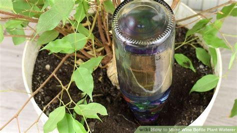 How To Make Wine Bottle Plant Waterer With Pictures Wikihow