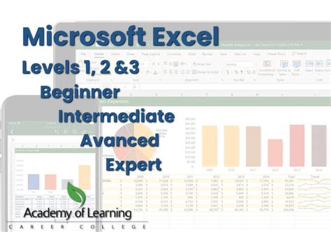 Microsoft Excel From Beginner To Advanced To Expert Certificate Aolc Bc