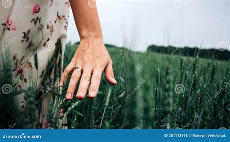 Hand Wheat Field Young Woman On Cereal Field Touching Ripe Wheat
