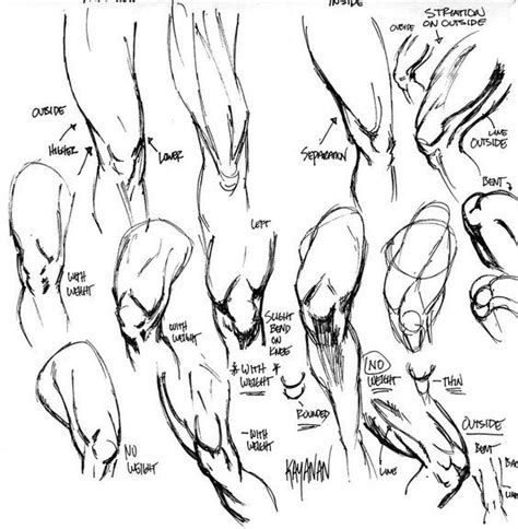 Character Design Collection Legs Anatomy Anatomy Reference Anatomy