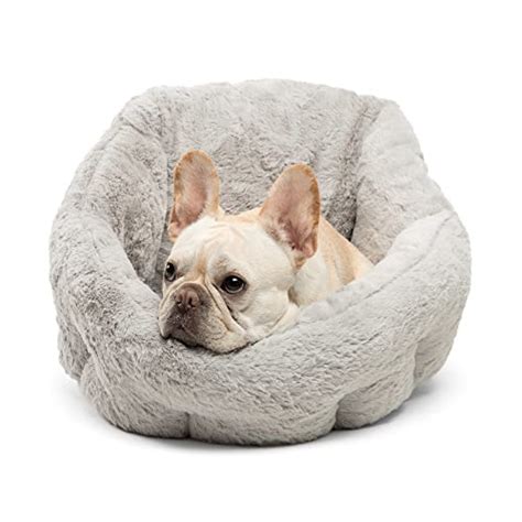 The Best Dog Bed For French Bulldogs