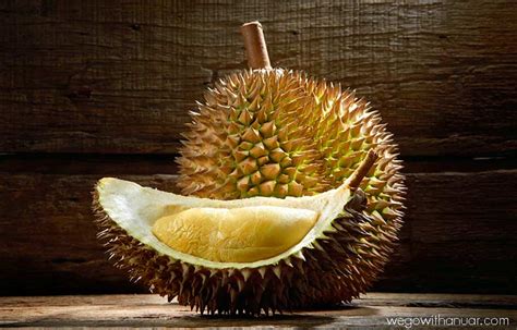 It is fondly regarded as the king of fruit. Malaysia Local Fruits Tourist Should Try