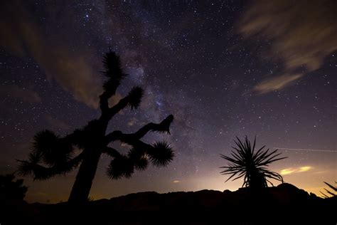 Night In Joshua Tree National Park Congregação Das Irmãs Franciscanas