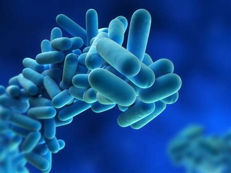 Legionnaires Disease And Humidifiers What You Need To Know