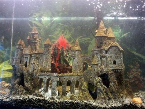 7c34e913f0a80d8d9da7b21d8ebf6f33 Fish Tank Themes Aquarium