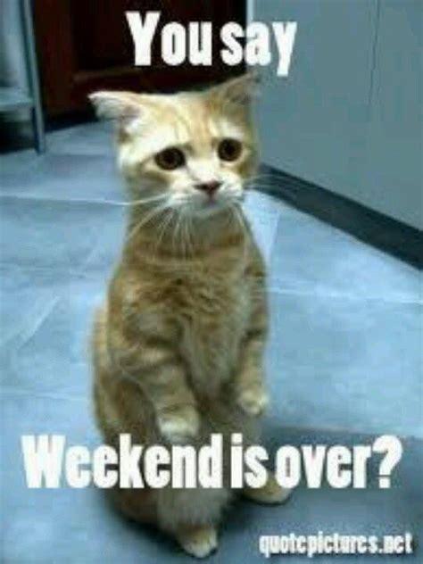 You Say Weekend Is Over Pictures Photos And Images For Facebook